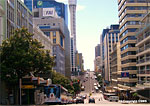 Auckland, New Zealand; a part of the SKY TOWER can be seen in the background